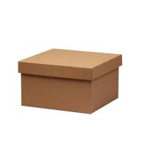 Коробка для перевозки ручной клади